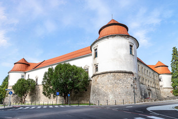 Fototapeta na wymiar Brezice, Slovenia, 02/08/2019, Brezice Castle in Slovenia