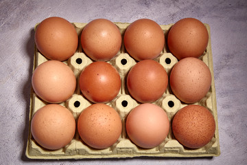 orange eggs of farm chicken