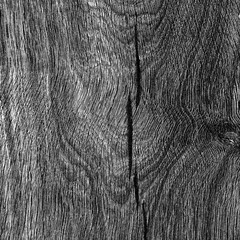 Wall wood a black - white texture background abstract. The Illustrated raster image