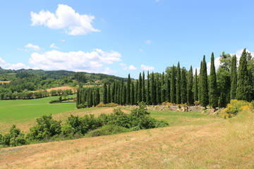 Fototapeta na wymiar Famous Tuscany landscape with cypress trees view from Castle of Romena, Italy.