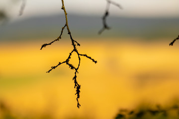 Landschaftsbilder aus der Pfalz in Rheinland-Pfalz