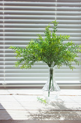 Sprigs with green leaves in a glass vase