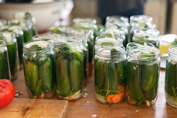 Pickled gherkins homemade organic bio making process