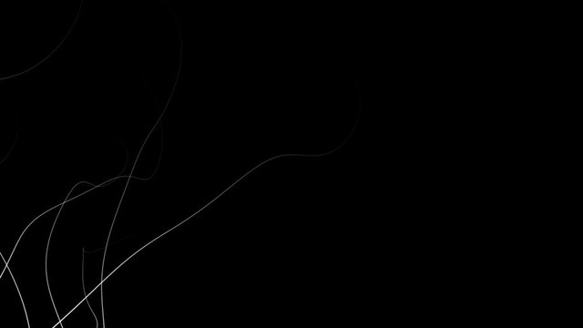 minimalist background in graphic nature style - white on black (FULL HD)