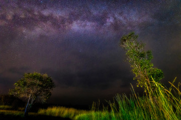  The stars of the Milky Way