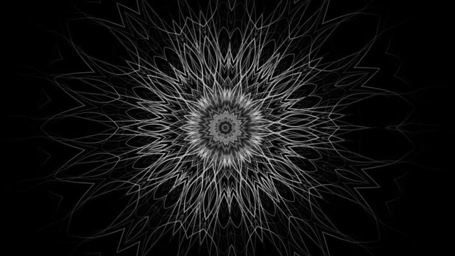 complex mandala of a mystic flower pattern - seamless looping (FULL HD)