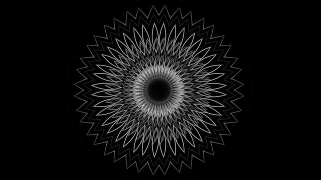 graphic background with complex floral ornament - seamless looping (FULL HD)