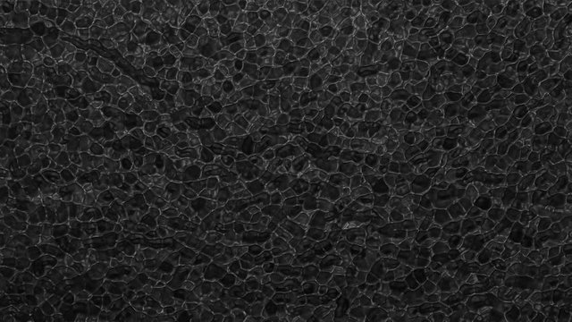 abstract black cell background - seamless loop  (FULL HD)
