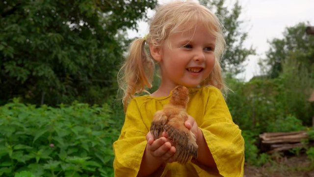 Little girl in a linen shirt holds in his hands a little chicken