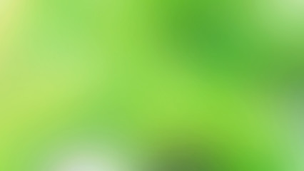 Blurred green background and soft sunlight