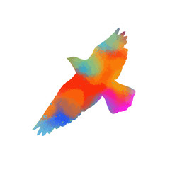 Colorful bright flying bird. Vector illustration