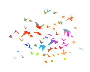 Multi-colored birds. A flock of flying rainbow birds. Vector illustration