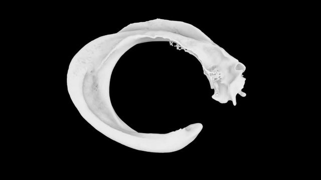 open ring of white paint in turbulent motion - on black, with alpha (FULL HD)