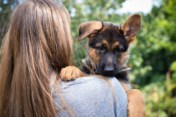 Young woman holding her puppy on shoulder. Cute german shepherd dog, New best friend. Home pet and family guardian. Natural blurred background.