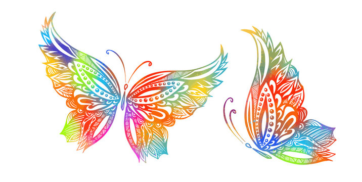 Colorful butterfly of patterns. Vector illustration