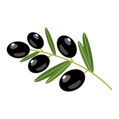 Black olives on a white background. Vector illustration