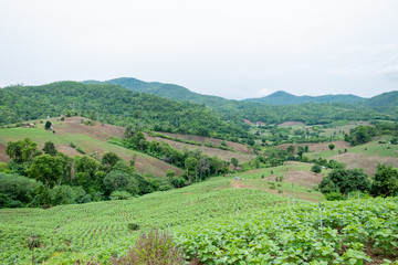 beautiful landscape in the north of Thailand