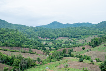 beautiful landscape in the north of Thailand