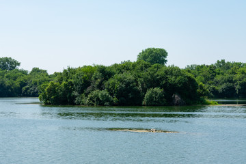 Trees along a Water Filled Quarry in Suburban Lemont Illinois