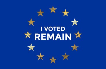 I Voted Remain EU Flag (Vintage Gold)