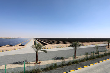 A field of solar photovoltaic panels 