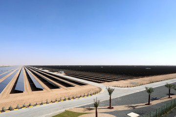 A field of solar photovoltaic panels
