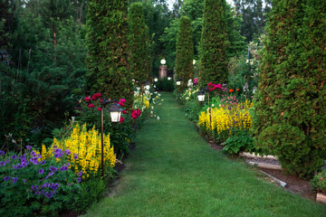 Beautiful flowers and trees landscape in the botanical garden in beauty summer evening. Horizontal orientation