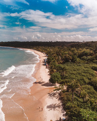 aerial view of the beach