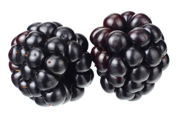 blackberries isolated on a white background. macro