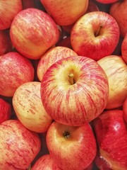 Fototapeta na wymiar awesome closeup of gala apples