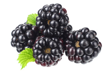 blackberry with green leaf isolated on white background. macro
