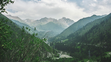 Fototapeta na wymiar Summer green mountain landscape in Kazakhstan Almaty, nature, forest and sky
