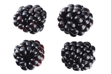 blackberries isolated on a white background. top view
