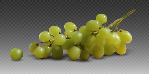A branch of yellow ripe grapes on a gray checkered background.  3D vector. High detailed realistic illustration.