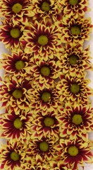 flor