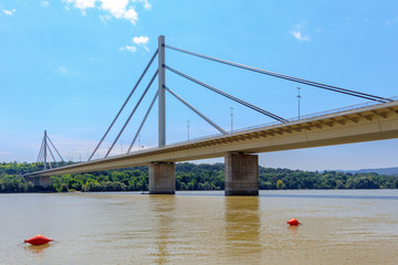 Cable-stayed Liberty bridge on the Danube river in Novi Sad, Serbia