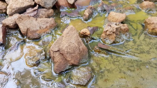 environmental pollution, dirty water in a silt with stones and rubbish