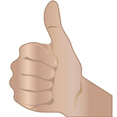 Fist with thumb up. Vector icon