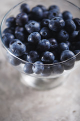 Blueberry Close-up