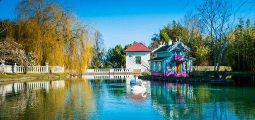 Fototapeta premium pond in a park