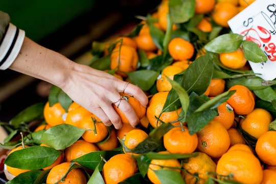 hands holding oranges