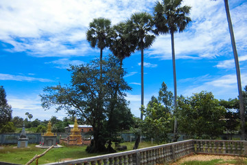 Rural view with palm trees in Siem Reap, Cambodia