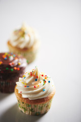 Cupcakes on White Background with Room for Copy