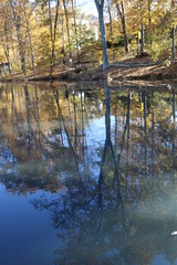 Park views, Oliver Winery, Indiana