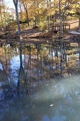 Park views, Oliver Winery, Indiana