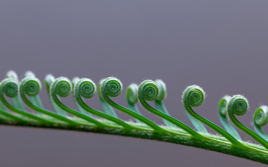 abstract green background
