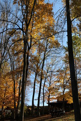 Park views, Oliver Winery, Indiana