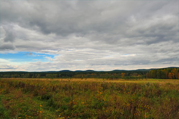 Sunset at the forest edge. Autumn landscape.