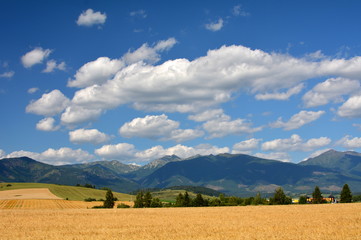 widok na pola i góry