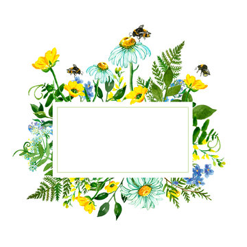Watercolor wild flowers frame. Hand painted delicate meadow yellow and blue flowers and green herbs with flying bees. Daisy, buttercup, mouse peas, queen anne's lace, forget me not, leaves, foliage.
